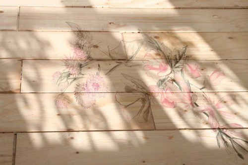 Plant Species appears in the light Hide and Seek by Solenne Morigeaud